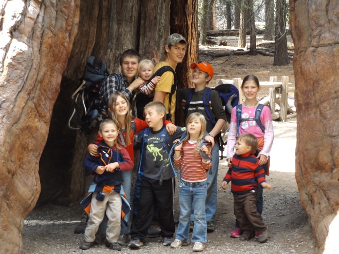 Kids enjoying the hike around the Sequoias