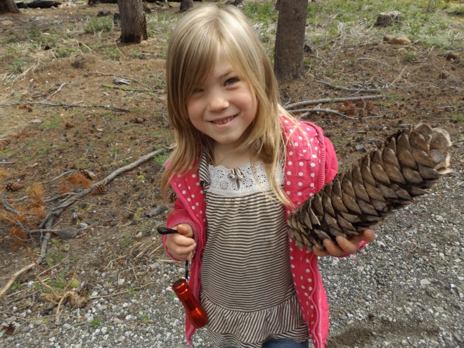 Amelia with a large pinecone.