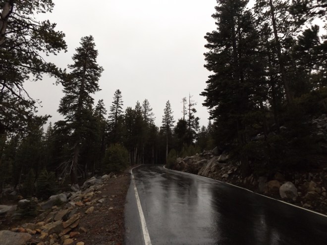 The curvy, narrow Ebbetts Pass.