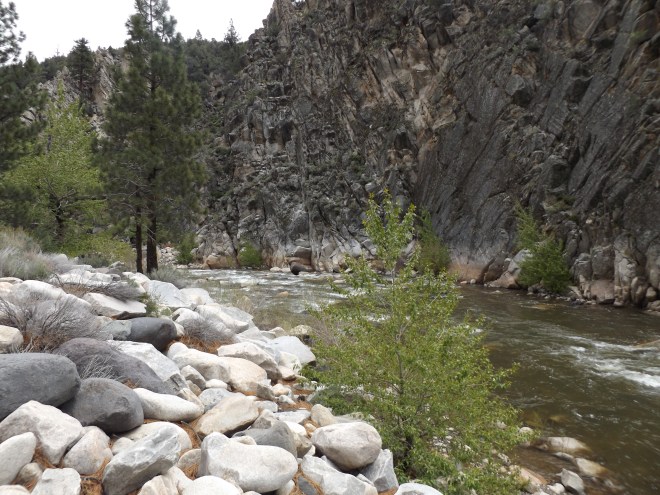 Beautiful rushing river beside the road in northern California..
