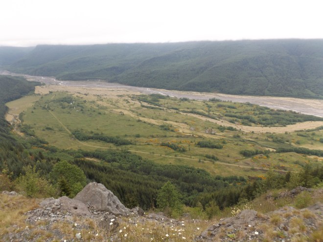 The Toutle River (maybe one of its forks).
