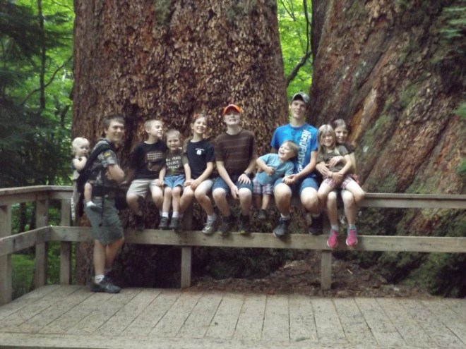 The kids in front of some of the large trees in the Grove of the Patriarchs at Mt. Rainier.