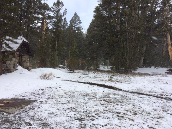 At around 9900 ft. elevation in Yosemite on Thursday morning.
