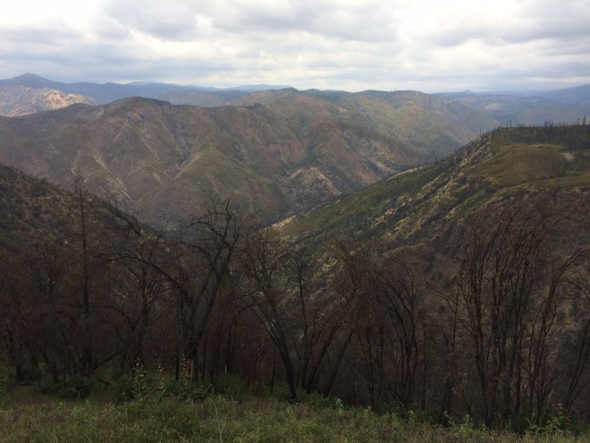 View after exiting the park on the way out of the mountains.