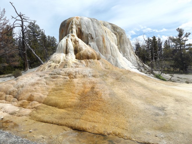 Mammoth Hot Springs