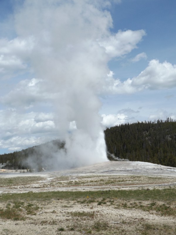 Old Faithful
