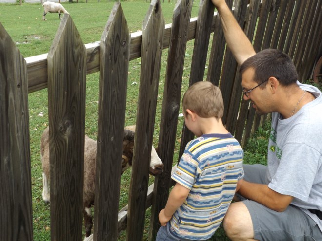 Dominic petting a sheep