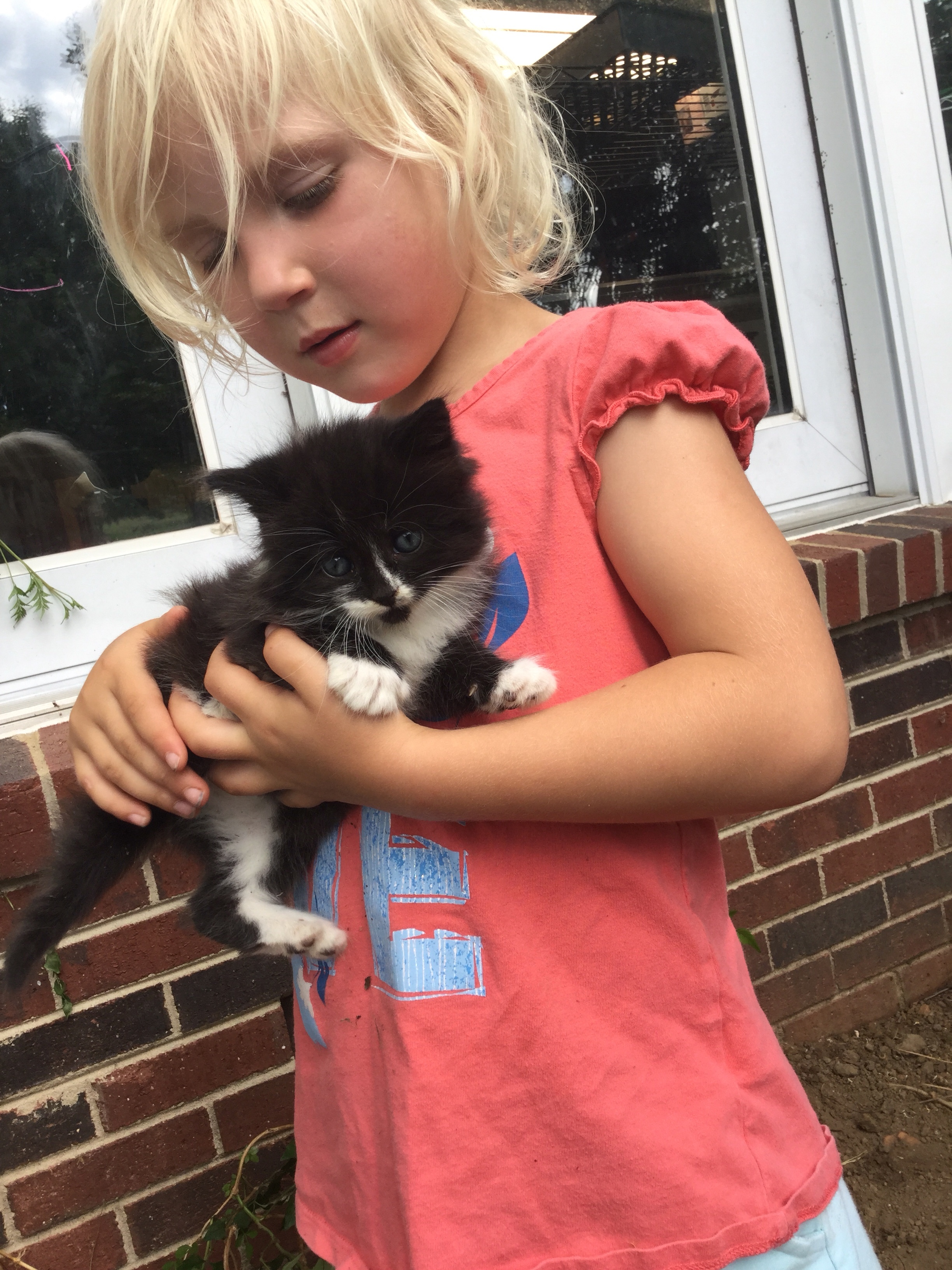 AnaClaire and kitten